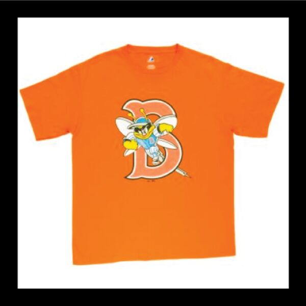 Binghamton Mets Thumbnail