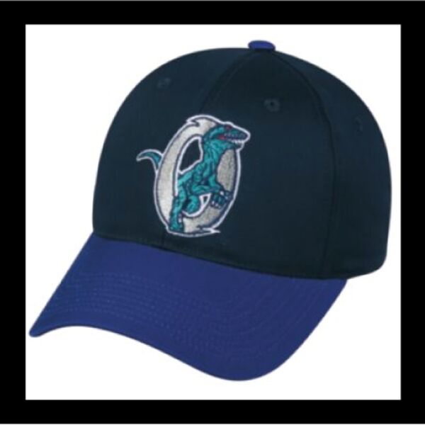 Ogden Raptors Thumbnail